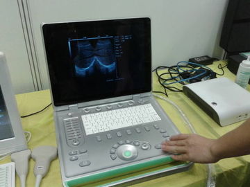Popularny 3D Cyfrowy Laptop weterynaryjne USG Skaner lekki łatwy do przenoszenia