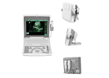 Notebook Laptop Ultrasound Scanner Bio 3000J 12 calowy ekran Przenośny USG Maszyna