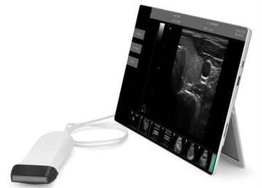 Kieszonkowy ultradźwiękowy sprzęt diagnostyczny Przenośny skaner ultradźwiękowy Obsługiwane okno 10 VET Dostępne