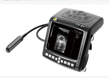 Handheld Vet B / W Ultrasound Scanner Sprzęt diagnostyczny Sondy wieloczęstotliwościowe