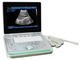 3D Cyfrowy B / W Przenośny ultrasonograf o wypukłym liniowe przezpochwowe Sondy