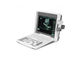 Przenośny ultrasonograf 12-calowy przenośny z systemem Windows 10 (PC)