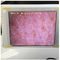 Biały Wifi Kontroler wilgotności skóry Czujnik wilgotności skóry ze zdjęciem wyświetlanym na iPadzie