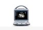 Mobilny ultrasonograf Przenośny ultrasonograf z dopochwową liniową wypukłą sondą