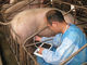 5.7 &quot;Ręczny weterynaryjny skaner ultradźwiękowy z akumulatorem litowo-jonowym dla zwierząt