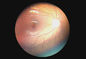 Urządzenie okulistyczne Optalmoskop z cyfrową kamerą Fundus z dioptrią -20 ~ + 20D Rozdzielczość wideo 1280 X 960