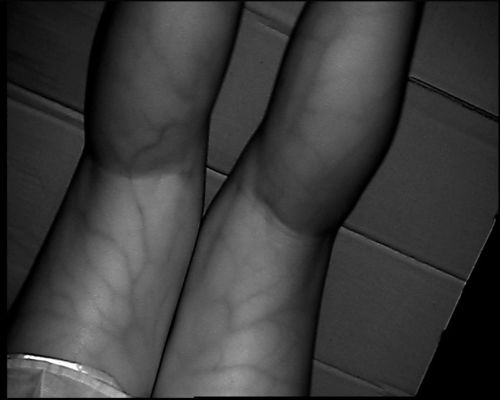 Wysokiej rozdzielczości 800X480 Typ tabeli Urządzenie do lokalizowania żył z 3,5-calowym ekranem do ramienia ręki