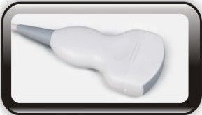 15-calowy diodowy diagnostyczny ludzki kolor Doppler Maszyna ultradźwiękowa z 2 połączeniami sondy