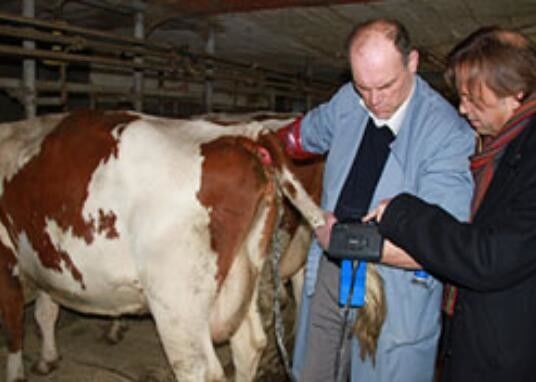 Cyfrowy ultradźwiękowy skaner weterynaryjny